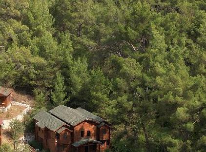 Babylontown Otel آنتالیا تورنگار
