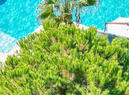 Forest İn Hotel آنتالیا تورنگار