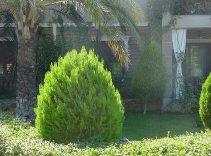Demirkaya Konaklary 3+1Villa آنتالیا تورنگار