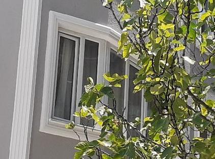 تور هتل کاخ بایزید استانبول تورنگار
