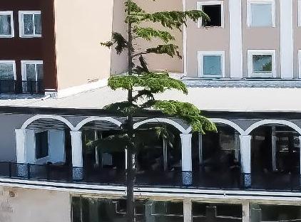 تور هتل د ساین دیرمن استانبول تورنگار